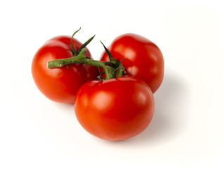Tomatoes