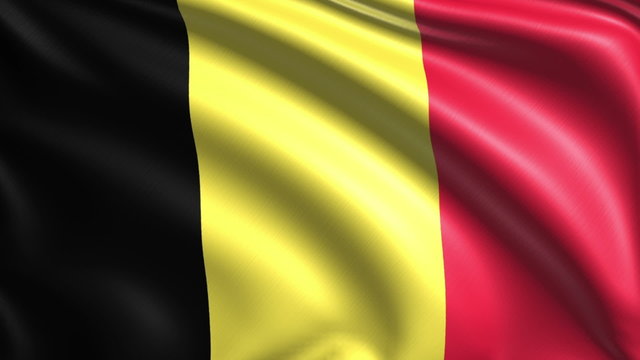 flag of Belgium with fabric structure; looping