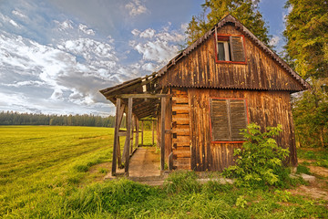 Obraz premium Discarded wooden cabin