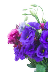 Naklejka premium bouquet of violet and mauve eustoma flowers