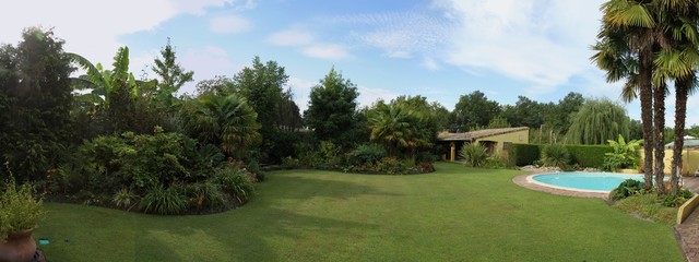 panorama d'un jardin exotique avec piscine
