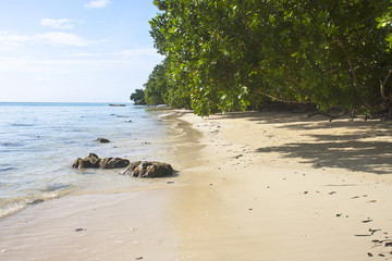 Tropical beach No. 5 on Havelock island (Andaman Islands, India)