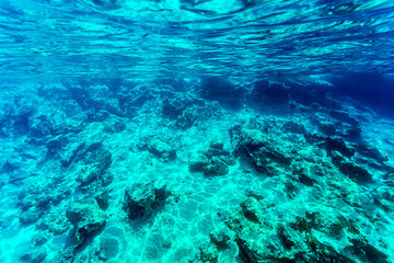 Fototapeta na wymiar Beautiful seabed background