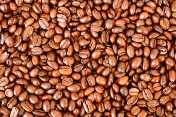 coffee beans background