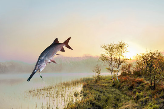 Fishing