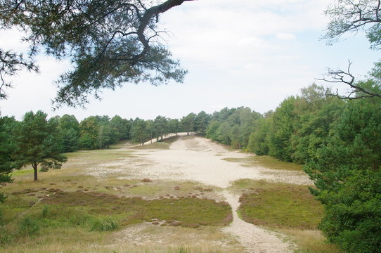 Besendorfer Sandberge D&uuml;ne