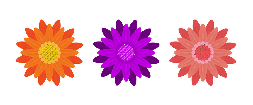 Abstract Flowers on White Background. Vector Illustration.