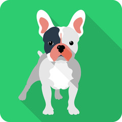 dog icon flat design