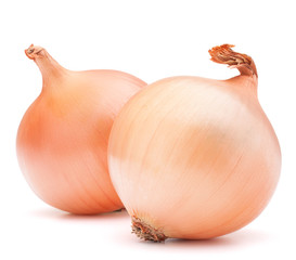 Fototapeta premium Gold onion vegetable bulbs