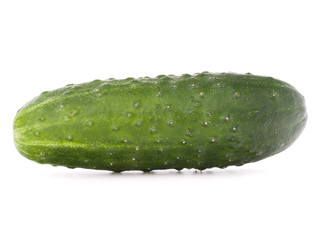 Cucumber vegetable  isolated on white background cutout