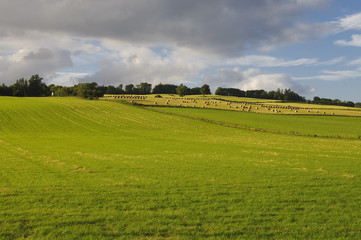 Fototapeta na wymiar Farmland in Scotland