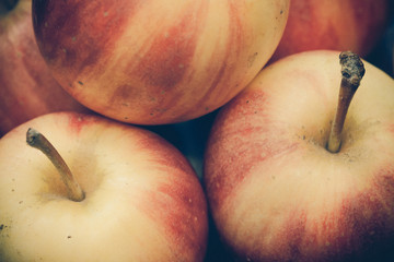 vintage  red apple background