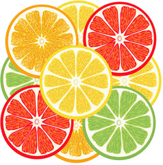 Fototapeta premium цитрусовые