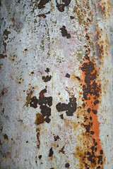 old rusty pipe