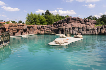 Fototapeta premium terrarium