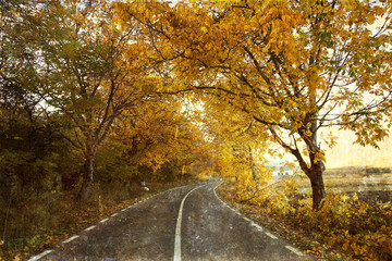 curving road in autumn forest - vintage photo