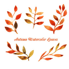 vector autumn watercolor leaf pattern template