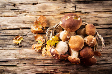 Ceps on wooden table