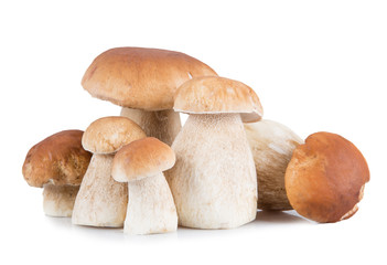 Ceps on white background