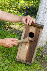 Bird house in the garden