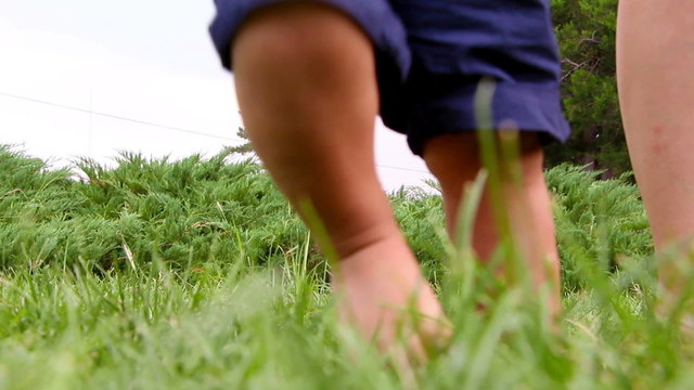 Cute baby boy making his first steps on grass