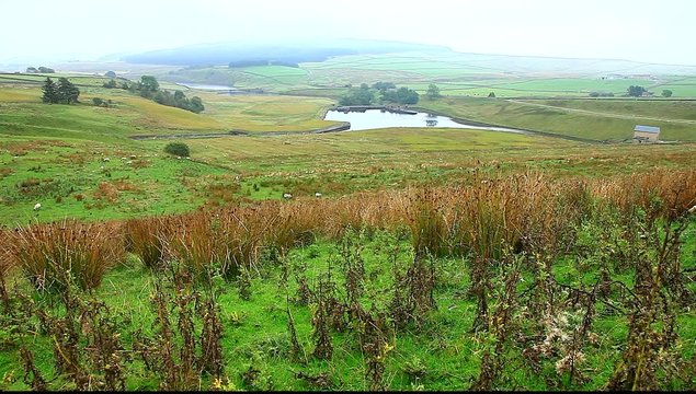 grassholme reservoir uk