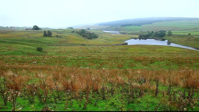 grassholme reservoir uk