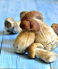 Autumn cep.