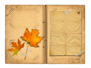 Open vintage photoalbum for photos with autumn foliage on white