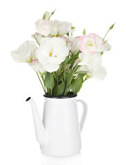 Beautiful eustoma flowers in teapot, isolated on white