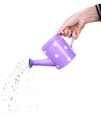 Water pouring from watering can isolated on white