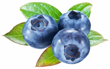 Blueberries with leaves on a white background.