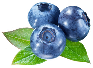 Obraz premium Blueberries with leaves on a white background.