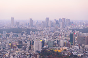 Fototapeta na wymiar Tokyo in the twilight, direction to Shibuya, Shinjuku