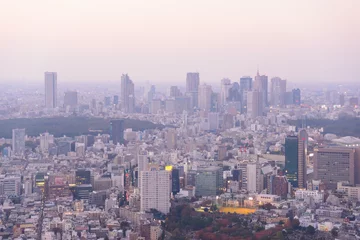 Foto op Canvas Tokyo in the twilight, direction to Shibuya, Shinjuku © Scirocco340