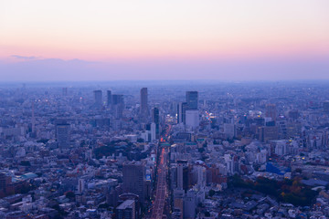Fototapeta na wymiar Tokyo in the twilight, direction to Shibuya, Shinjuku