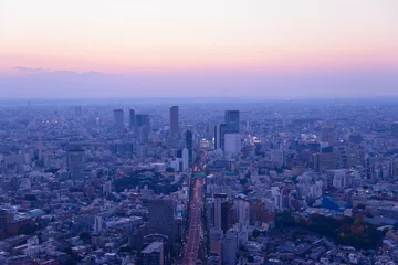 Schilderijen op glas Tokyo in the twilight, direction to Shibuya, Shinjuku © Scirocco340