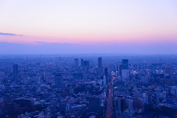 Naklejka premium Tokyo in the twilight, direction to Shibuya, Shinjuku