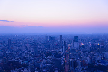 Tokyo in the twilight, direction to Shibuya, Shinjuku