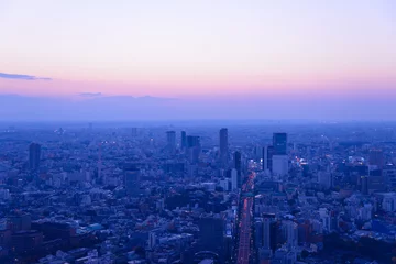 Foto op Plexiglas Tokyo in the twilight, direction to Shibuya, Shinjuku © Scirocco340