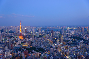 Fototapeta na wymiar Tokyo in the twilight, direction to the Tokyo Tower and Shinagaw