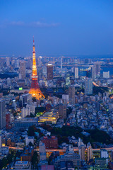 Naklejka premium Tokio o zmierzchu, kierunek do Tokyo Tower i Shinagaw