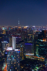 Fototapeta na wymiar Tokyo in the twilight, direction to the Shimbashi, Ginza, Asakus