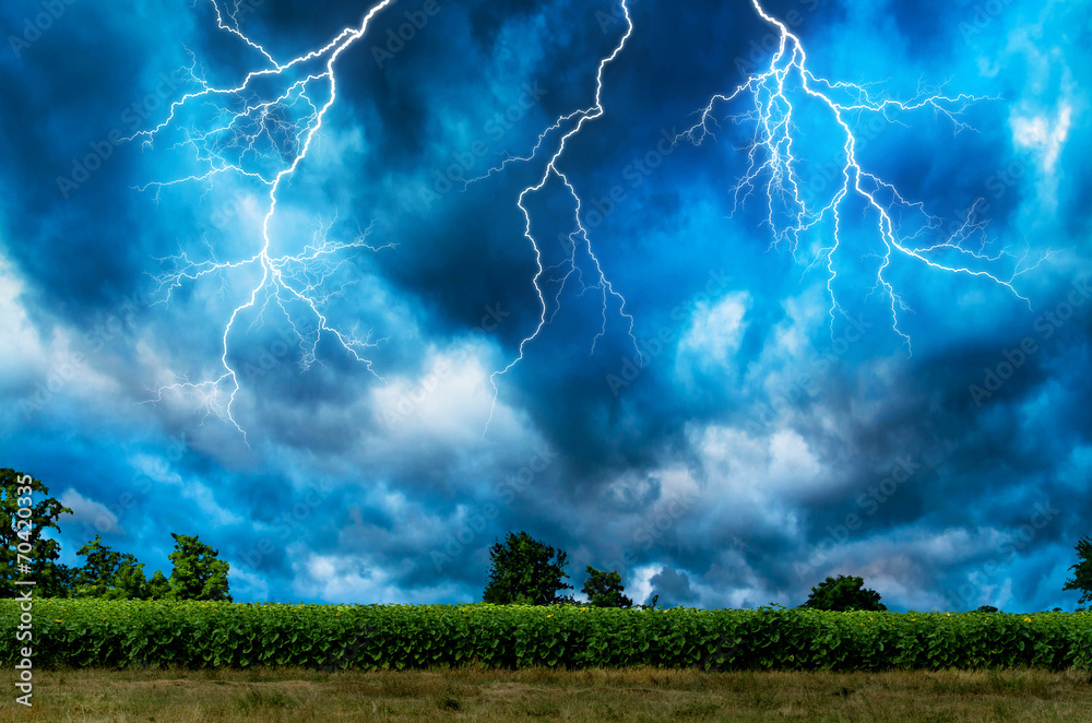 Wall mural thunderstorm with lightning.