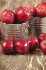Apples harvest