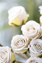 Obraz na płótnie Canvas white roses bouquet