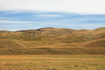 Grassland hills