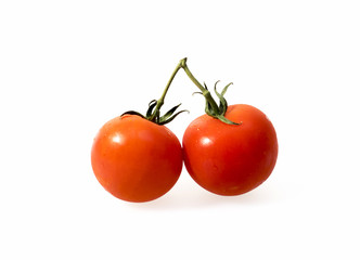 Tomaten 06797