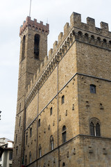 Fototapeta na wymiar Florence (Firenze)