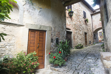 Fototapeta na wymiar Montefioralle (Chianti, Tuscany)